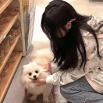 剑侠风云单职业无限元宝版下载